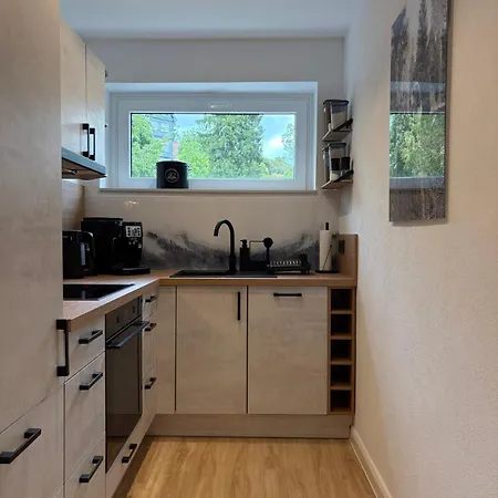 Drei Fichten - Balkon Und Traumblick Braunlage